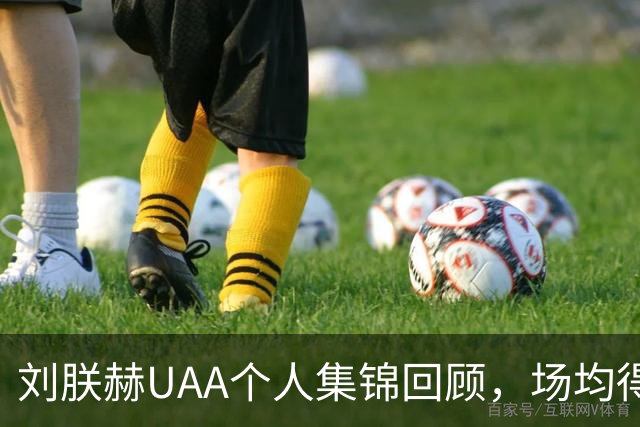 刘朕赫UAA个人集锦回顾，场均得到14.5分3.2板0.6助攻