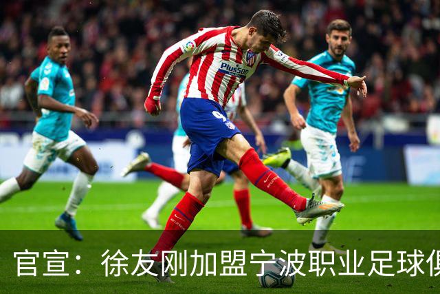 官宣：徐友刚加盟宁波职业足球俱乐部