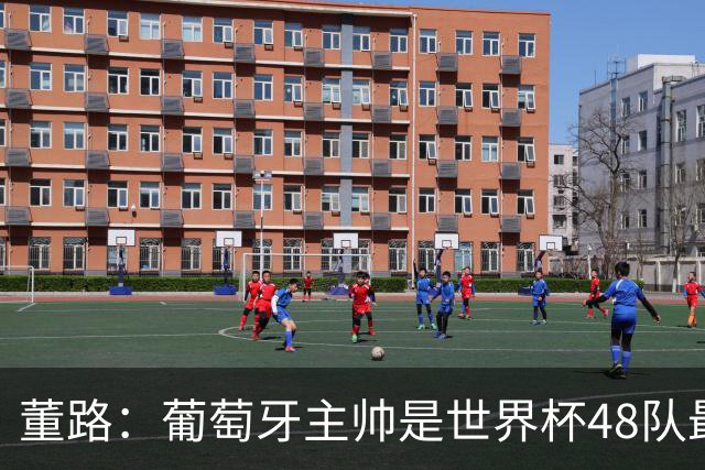 董路：葡萄牙主帅是世界杯48队最差的，他不敢拿下C罗，坑了全队